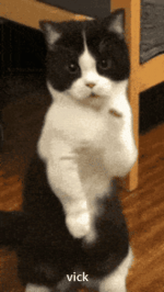 1778091334111.gif