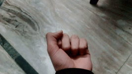 1778182564663.gif