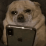 1778233265008.gif