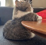 IMG_2699.jpeg