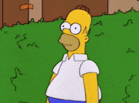 1000031864.gif