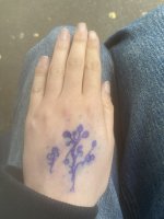 IMG_8166.jpeg