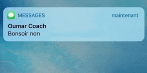 bonsoir non.png