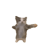 happy-cat.gif