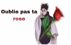 IMG_3552.jpeg