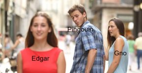 images1.jpg