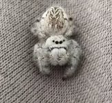 IMG_9391.jpeg
