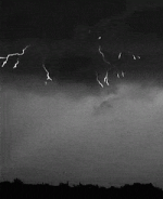 1787400423717.gif
