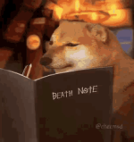 1789325556054.png