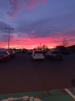 IMG_20261012_202505.jpg