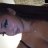 donna765