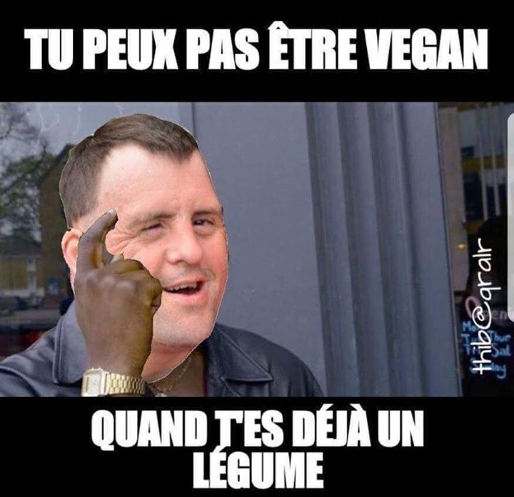 1-meme-drole.jpg